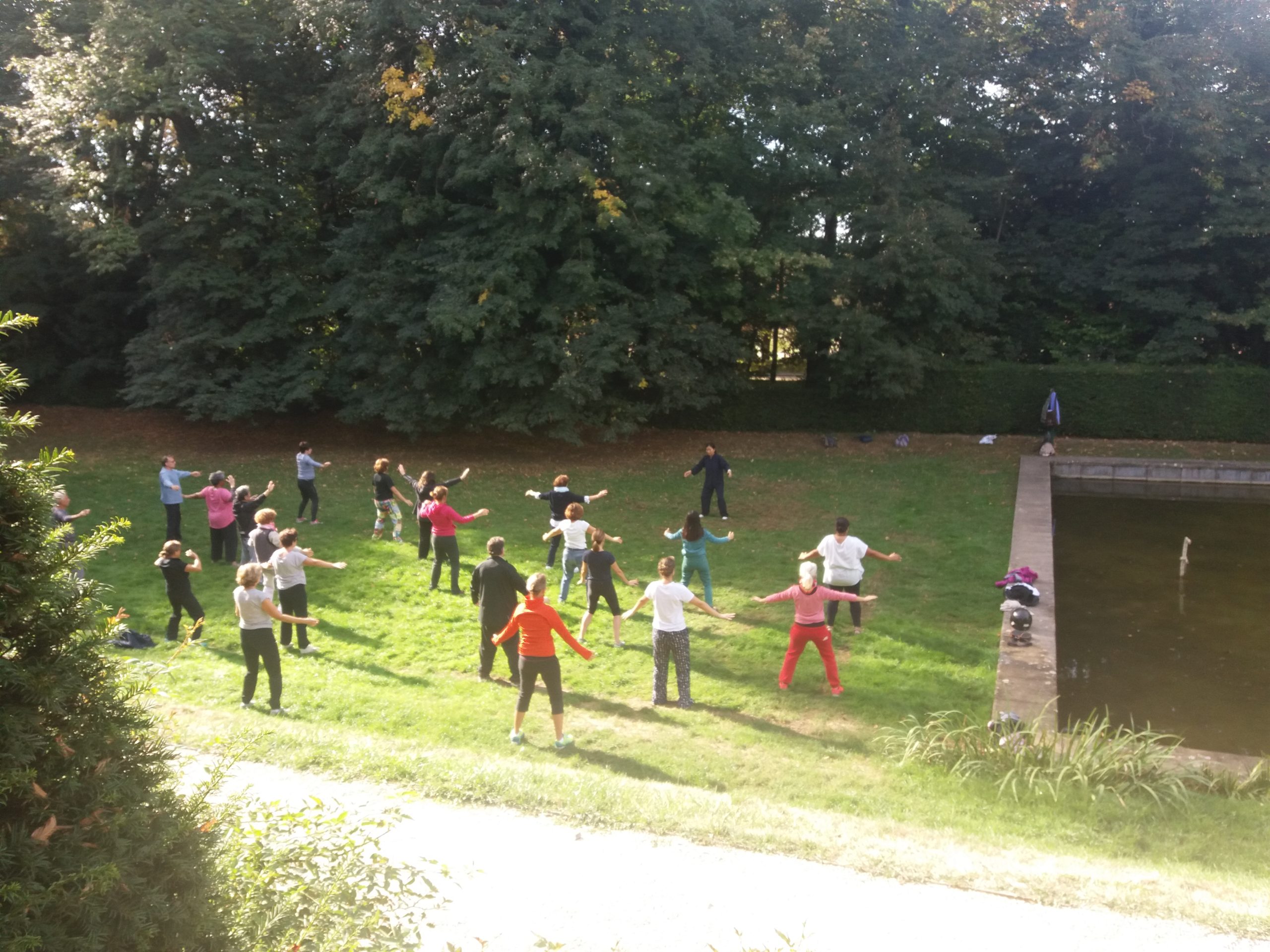 Jin Ling France | Qi Gong & Qi Gong thérapeutique Sceaux