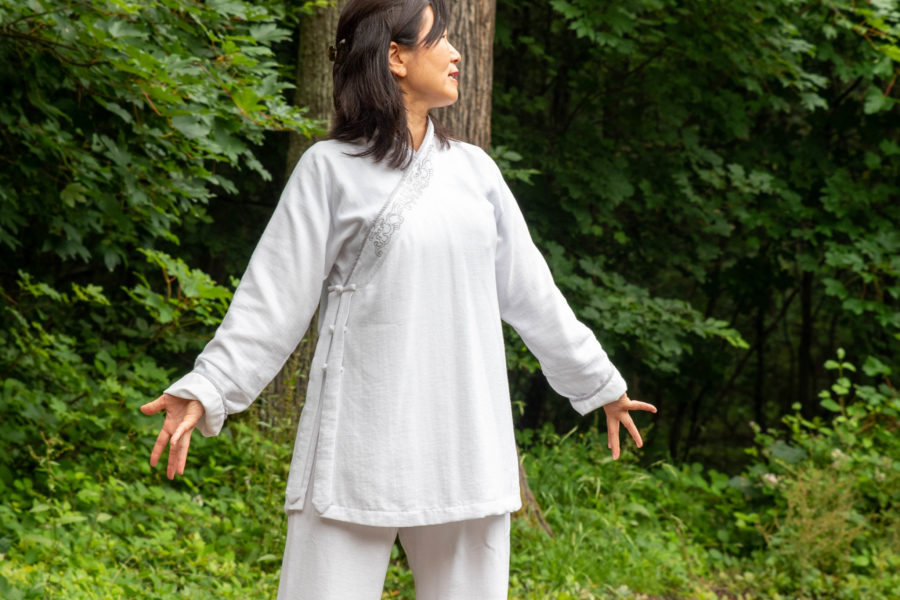 Qi Gong Yi Jin Jing