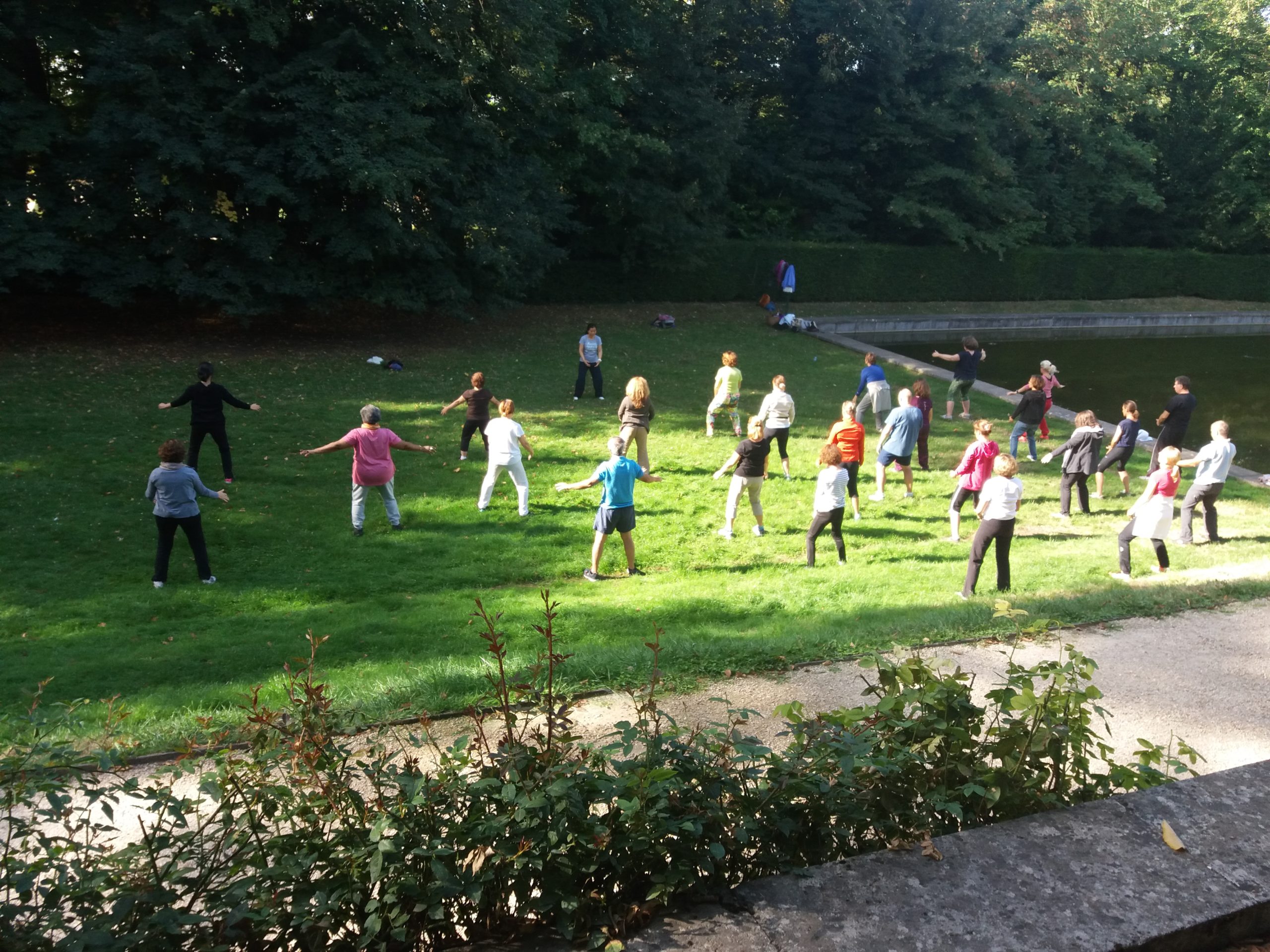 Cours de Qi Gong en plein air