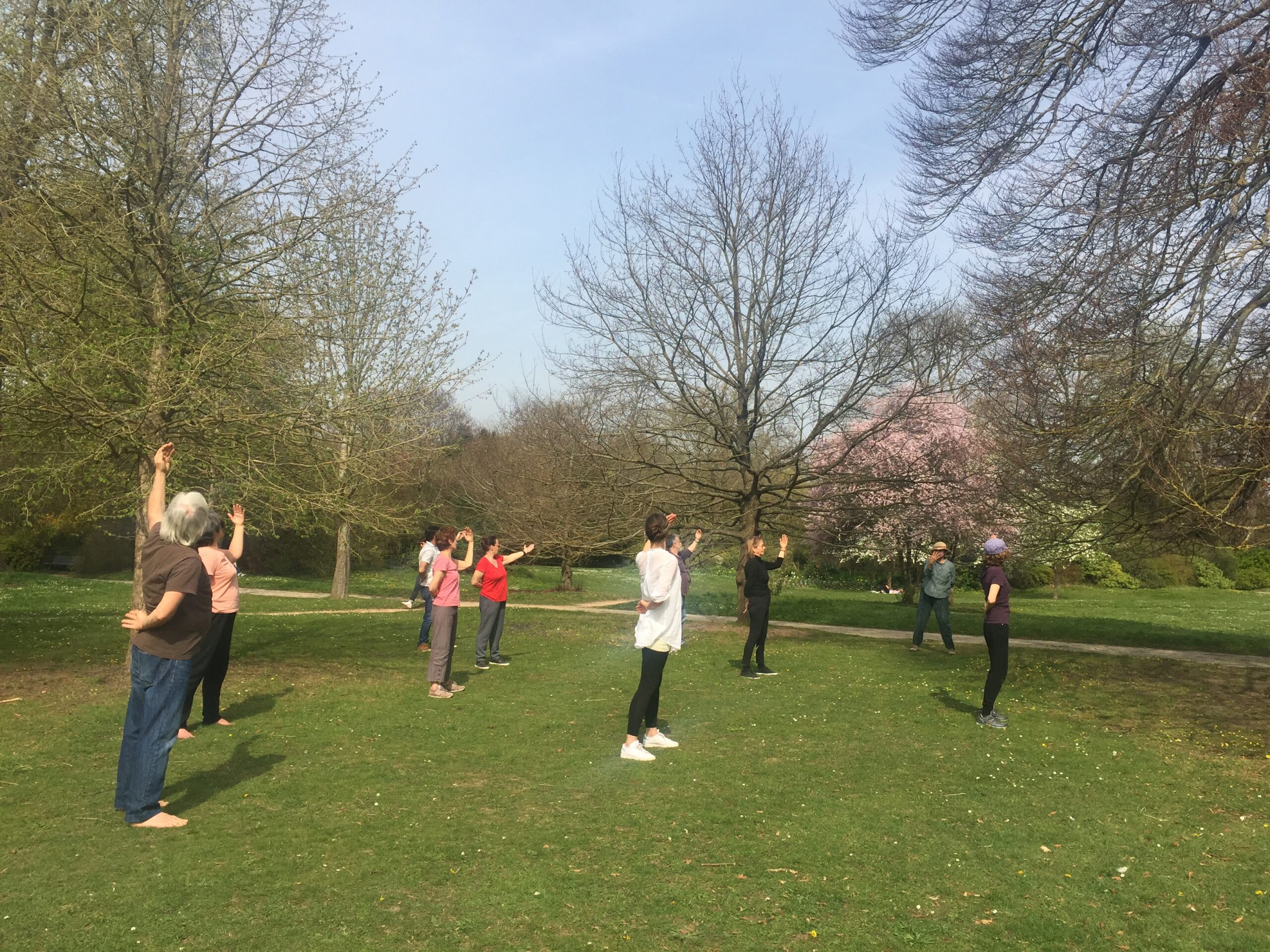 Cours de Qi Gong au parc du château St Germain en Laye </br> Date : mai & juin 2024