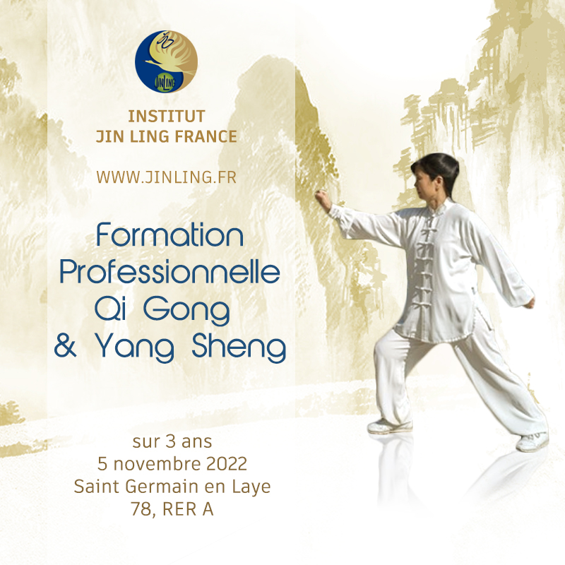 Formation Qi Gong & Yang Sheng Médecine Traditionnelle Chinoise