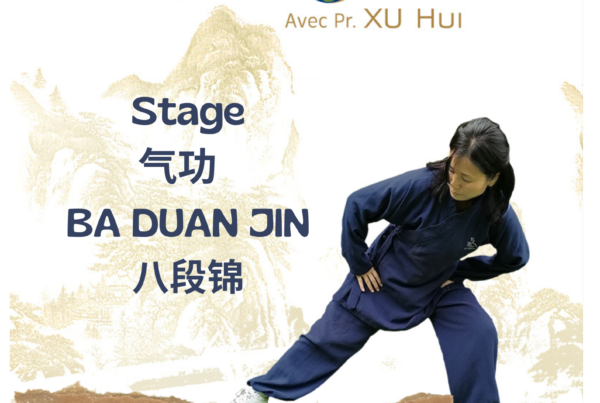 Stage Qi Gong Ba Duan Jin