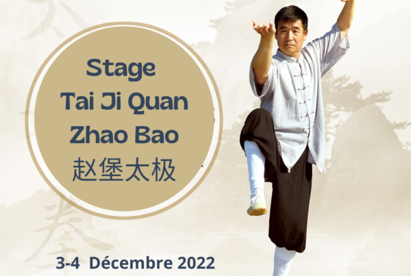 Stage Tai Ji Quan Zhao Bao