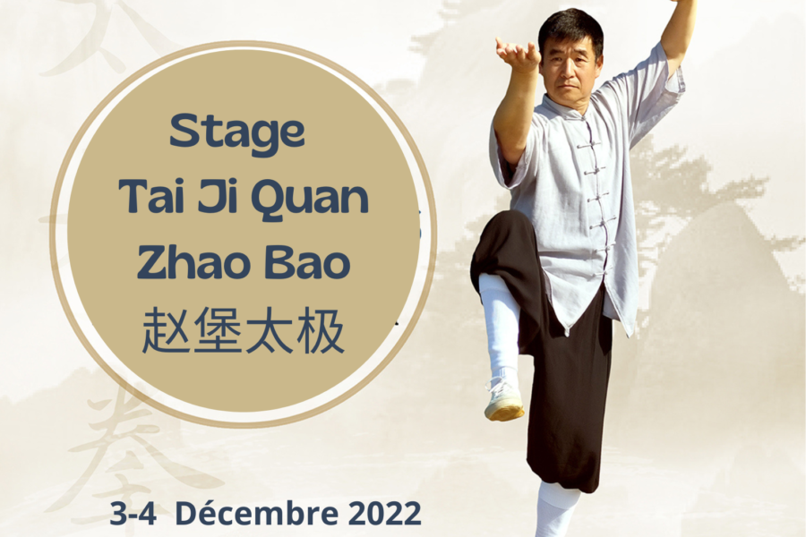 Stage Tai Ji Quan Zhao Bao