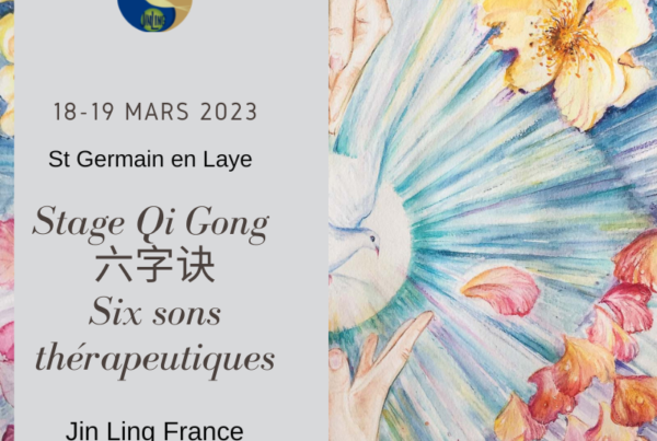 Stage Qi Gong Six sons thérapeutiques