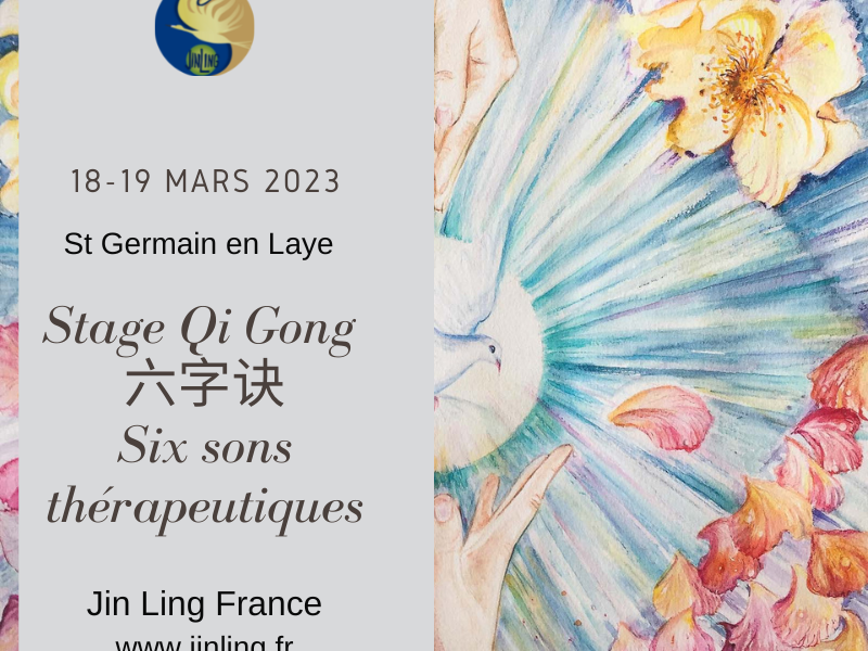 Stage Qi Gong Six sons thérapeutiques
