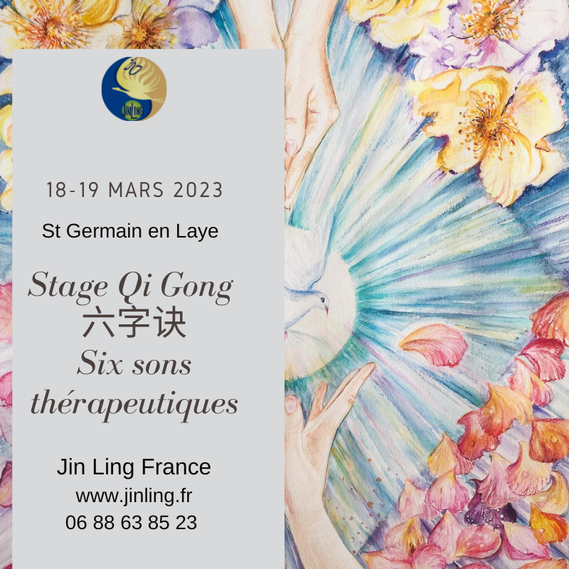 Stage Qi Gong Six sons thérapeutiques (Liu Zi Jue)