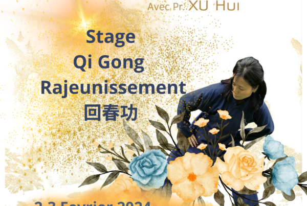Qi Gong de rajeunissement 武当龙门回春功