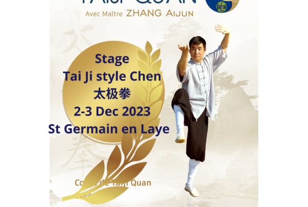 Stage Tai Ji Quan style Chen