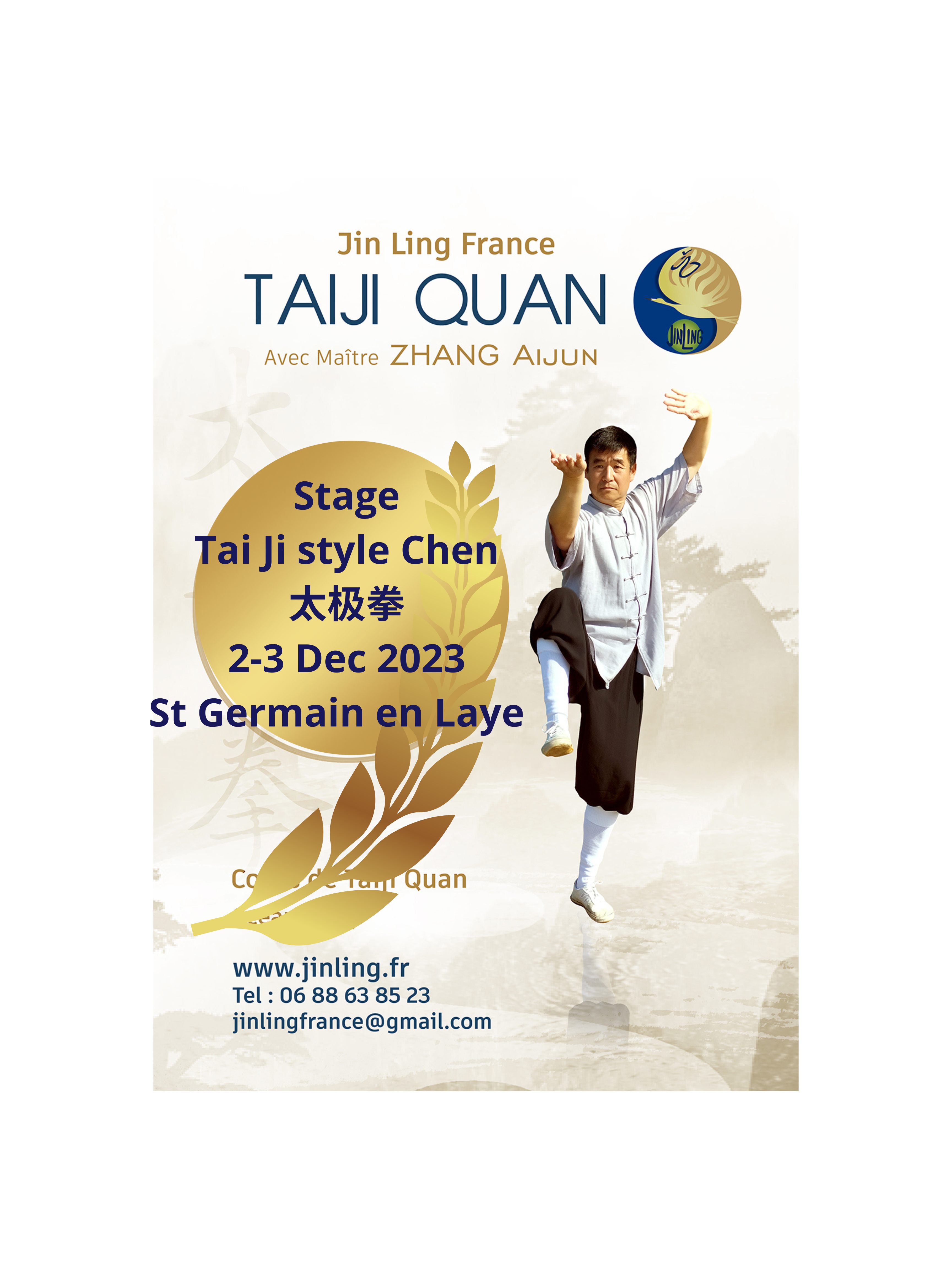 Stage Tai Ji Quan style Chen