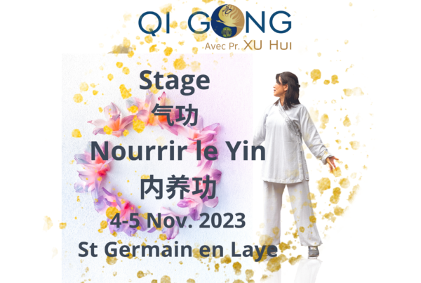 Qi Gong Nourrir le Yin - Nei Yang Gong