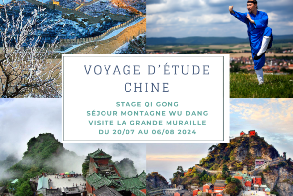Stage Qi Gong juillet et aout 2024 en Chine