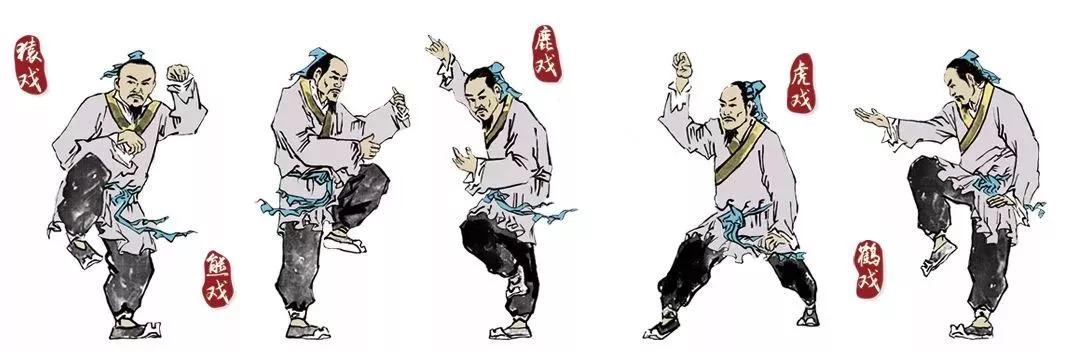 Stage Wu Qin Xi – Jeu des Cinq Animaux