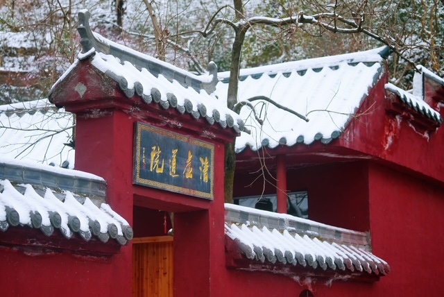 Stage Qi Gong Nourrir l’énergie Yin