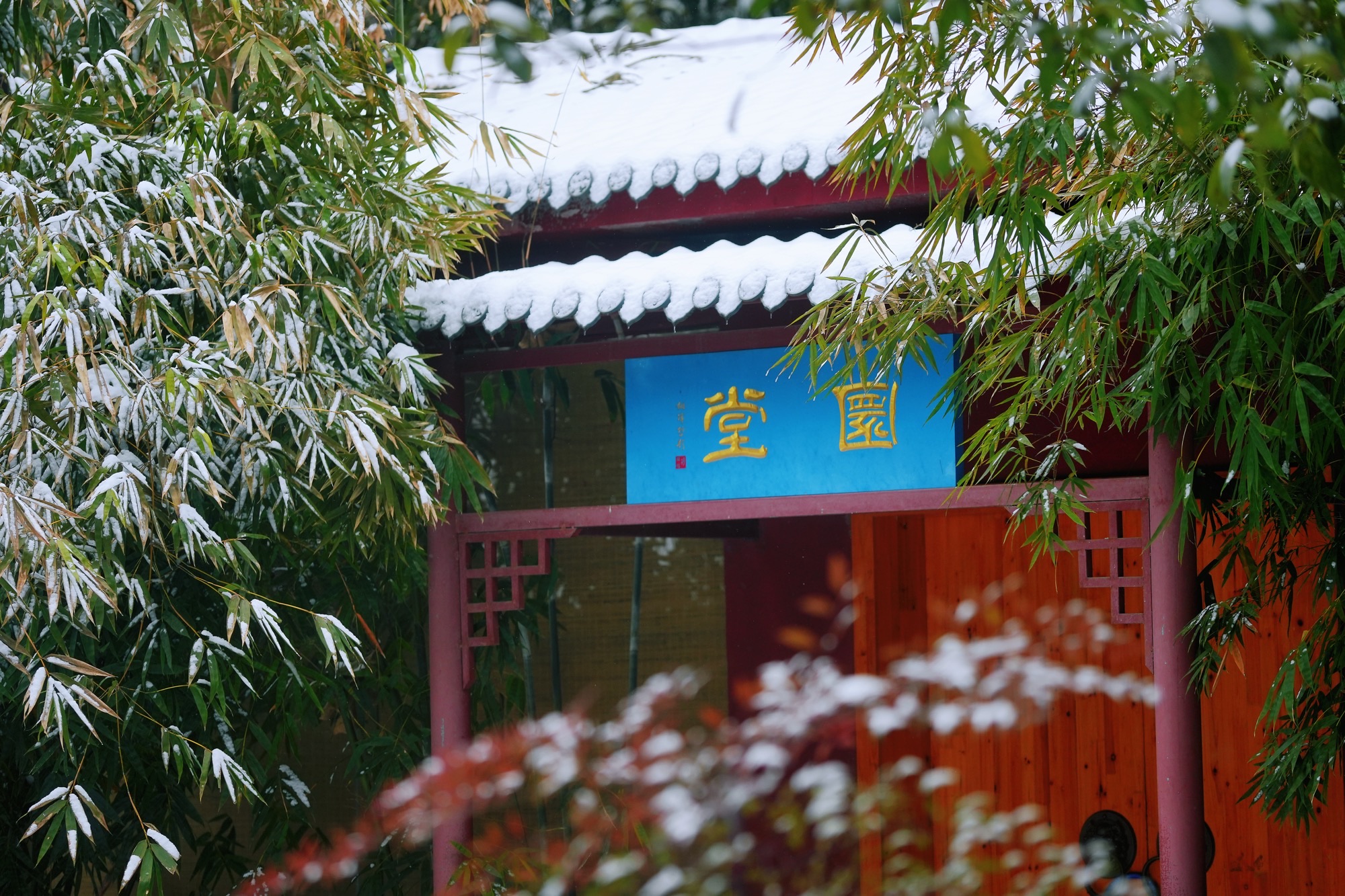 Stage Qi Gong – Les Jeux des Cinq Animaux